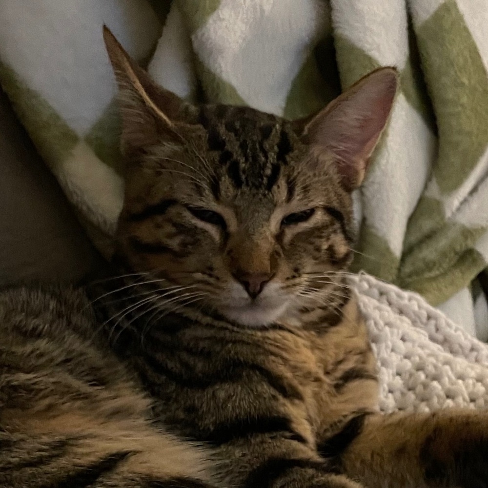 Meet your Posher, Esther